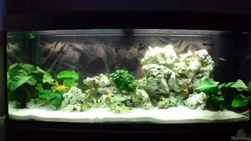 Und nach der Neugestalltung so von sofapirat (4)