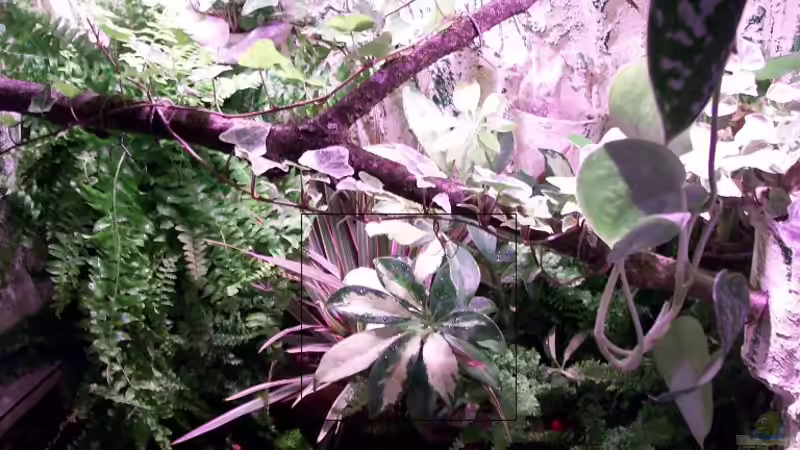 Und noch die zweite. von Theo Heimann (13)