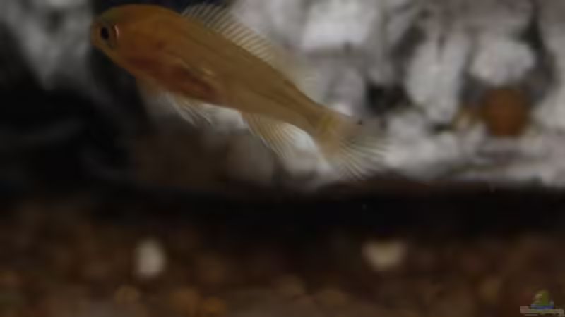 Und noch ein Baby-Foto von JörgsMalawis (60)