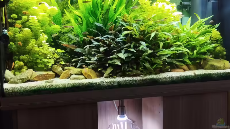 Und noch ein Fach im Schrank geändert. von Thomas Kreuter (30)