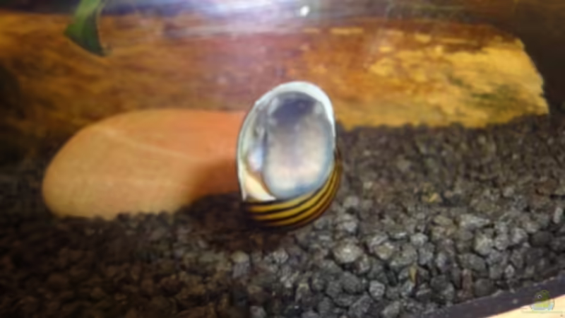 Und noch eine von Heiko Stracke (58)