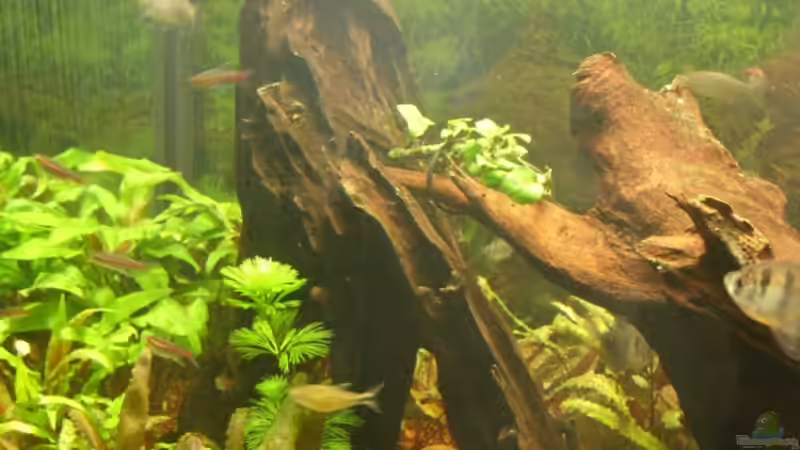 und noch eine von Oliver Boden (22)