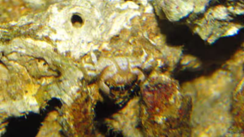 und noch eine von Steffen Ruck (11)