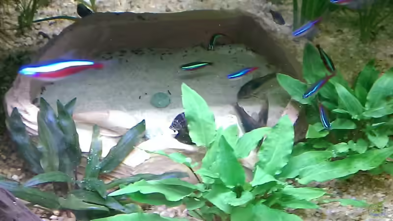 Und noch einmal im Einsatz. von Ottche (131)