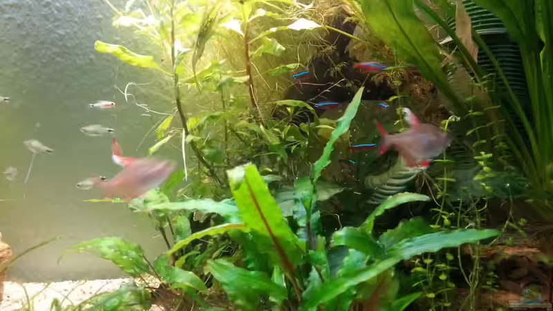 Und noch eins ^^ - 26.12.2014 von Jonas (Trancemania) (30)