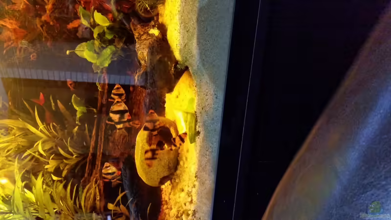 Und noch eins von SvenDerGroße (14)