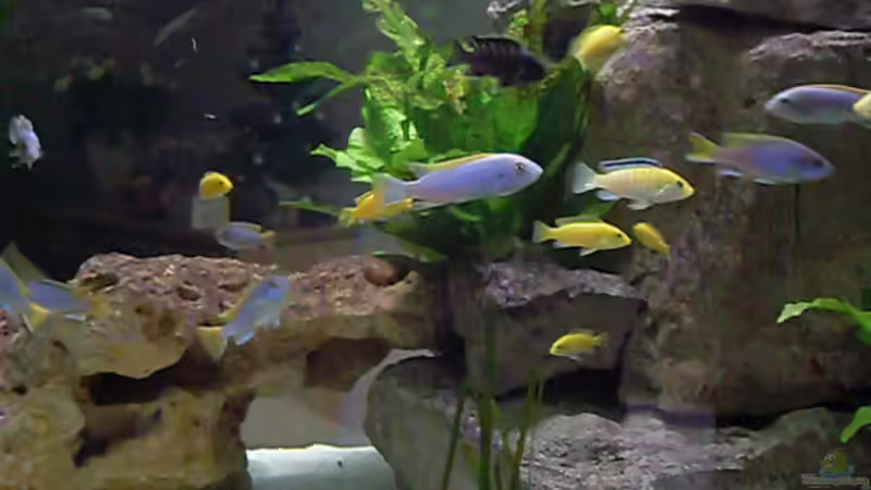 und noch Felsen  von Mats (30)