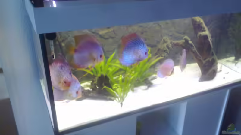 und noch mal von Steven Tumma (48)