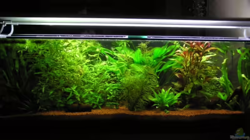 Und nochmal das Becken von Mario Theiß (2)