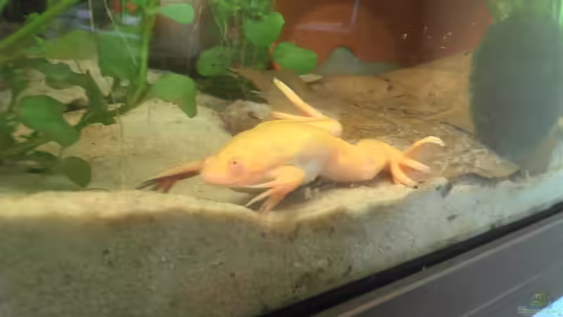 Und nochmal der Fred. von Jenny (21)