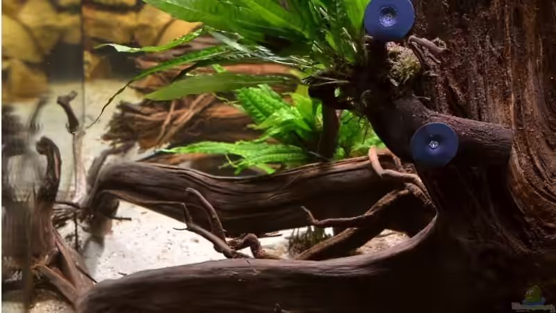 Und nochmal ein Blick durch die rechte Seitenscheibe, Stand: 22.10.2011 von GGuardiaNN (11)