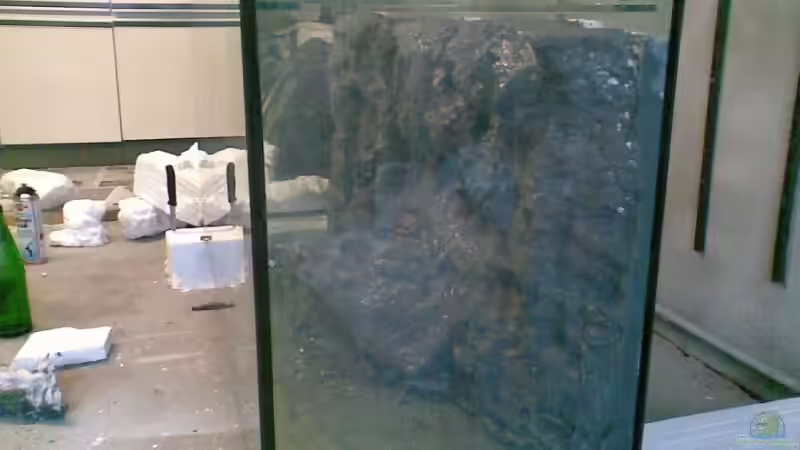 und nochmal seitlich von MDenzer (5)