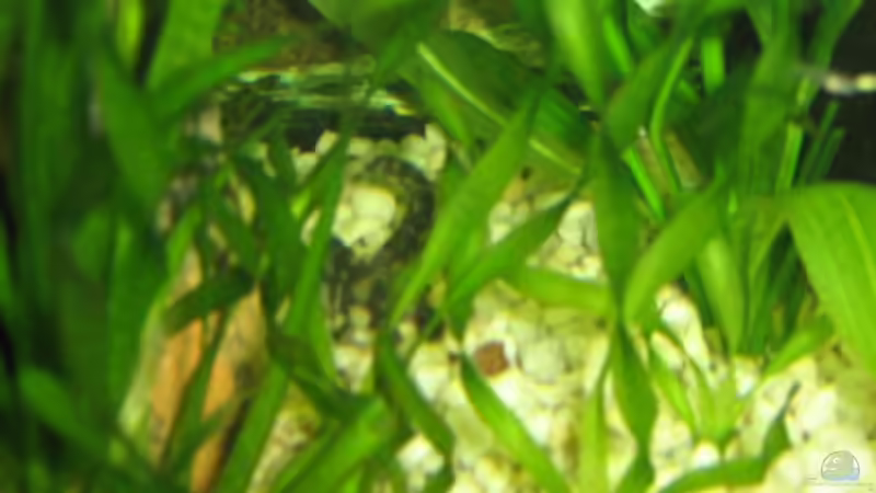 Und nochmal von Dennis Jaaks (18)