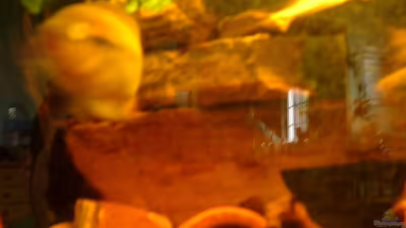 Und nochmal! von Mirtscho (8)