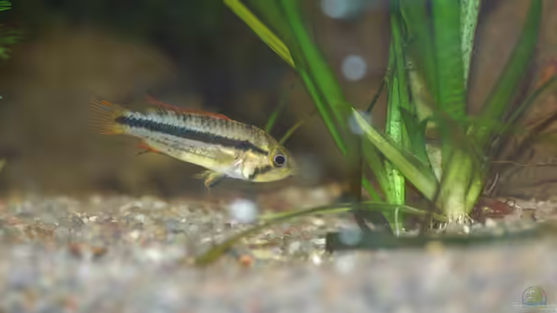 und sein Frauchen von Mad_Marder (5)