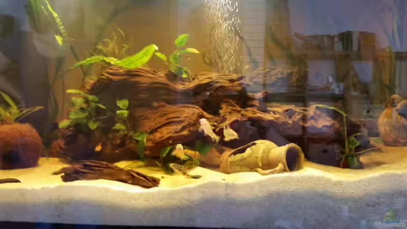 und seine Kumpel haben ohne ihn das Becken erkundet von SvenDerGroße (24)