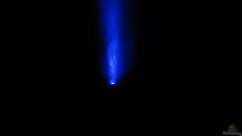 und so bei Nachtlicht von Hans Ehlers (5)