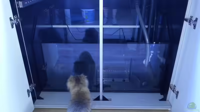 Und unsere Fanny Interessiert sich natürlich auch für das neue Becken !  von urbi (6)