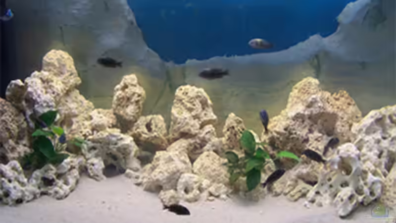 und von vorne... von Dominic Lehmann (2)