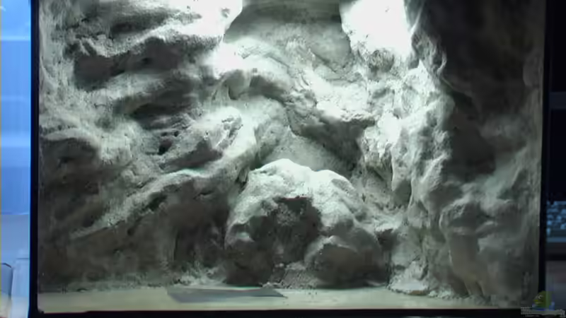 und von vorne von Tilo Schmiedl (21)