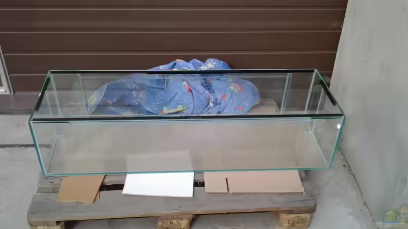 und wieder ein Jahr später steht das neue 156 Liter-Becken abholfertig beim Glaser von Berlin42 (9)