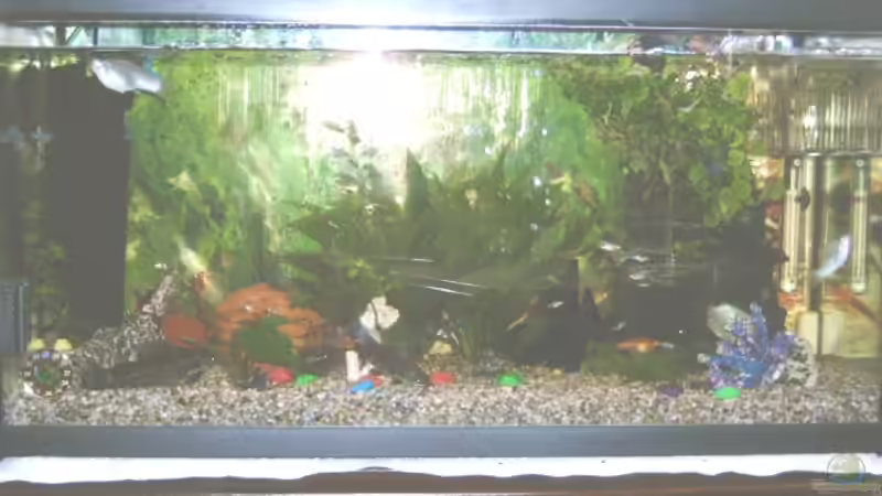 UND WIEDER EINS :o) von Enrico Bergmann (5)