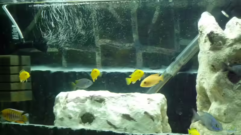 Und wo haben wir den Tag des Umbaus verbracht ? von Couro (10)