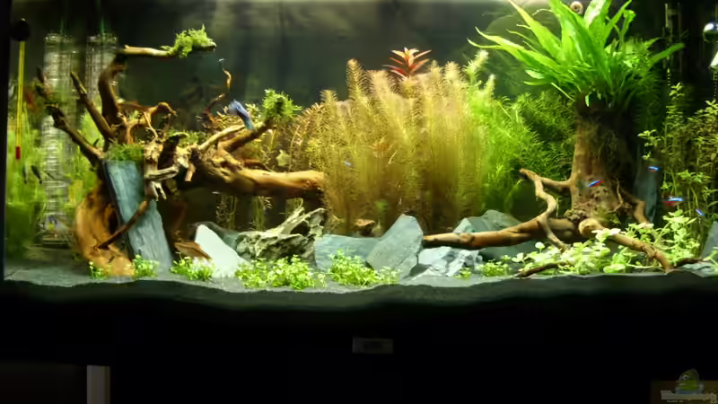 Und zu letzt ein Bild vom letzten Samstag von Alex Simon (5)