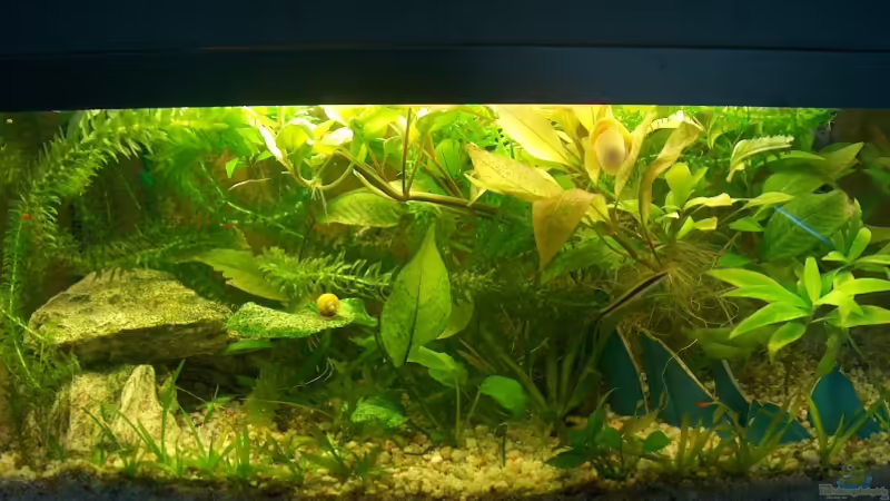 under construction ;) von Robert Rago (1)