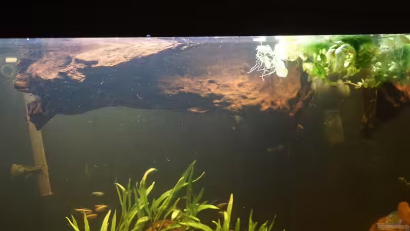 Unfreiwilliges Treibholz von Thomas De Vries (4)