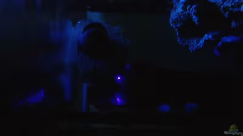 UniFilter 750UV mit BioFlo von Hydor von René Geisler (15)