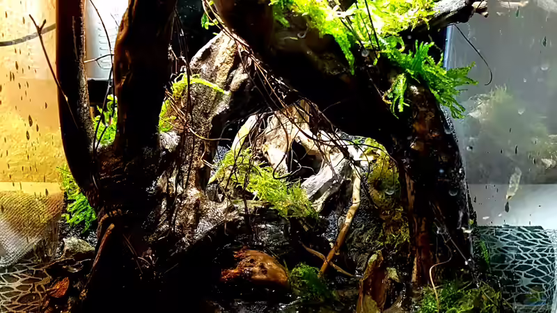 Unmittelbar nach dem Einrichten  von Erik H. (11)