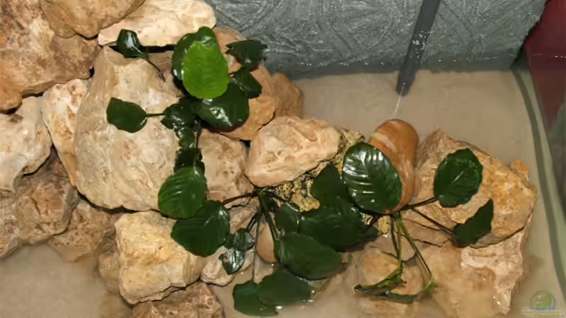 Unmittelbar nach der Einrichtung  von Antje Raasch (7)