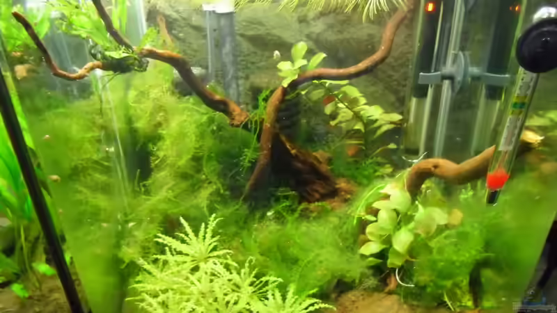 Unordnung von Oben von Gabi Schmidt (3)