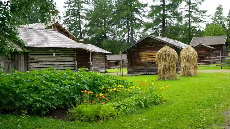 Unpassende Pflanzenkombinationen im Garten