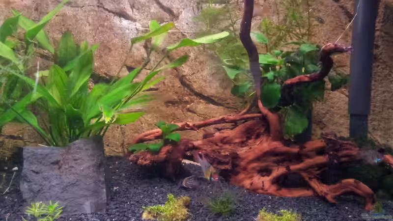 Uns geht es gut :) von Gokel79 (17)