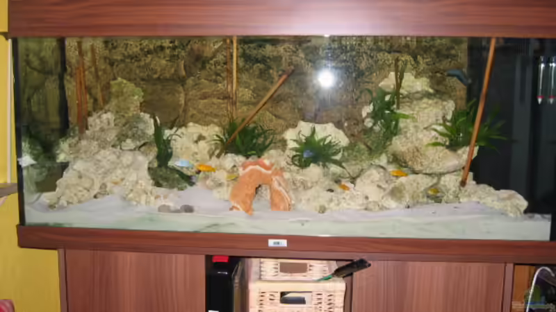 Unser Aquarium von Michael Friel (1)