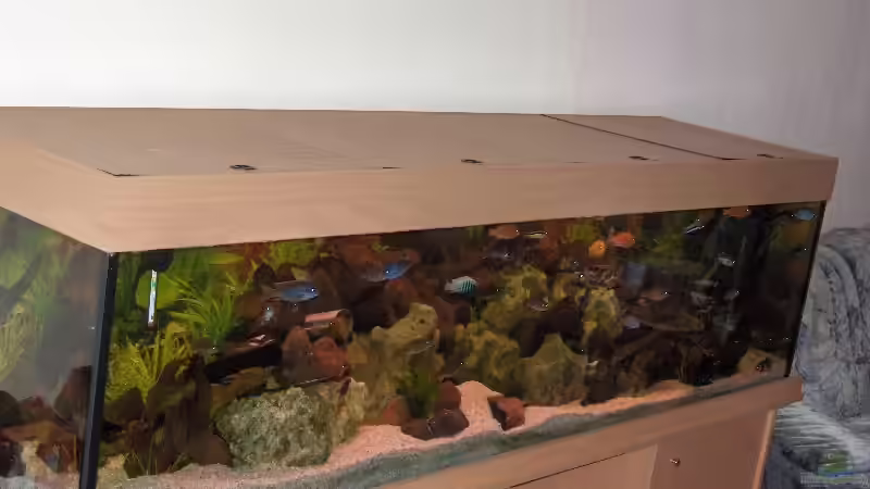 unser barschbecken unser barschbecken