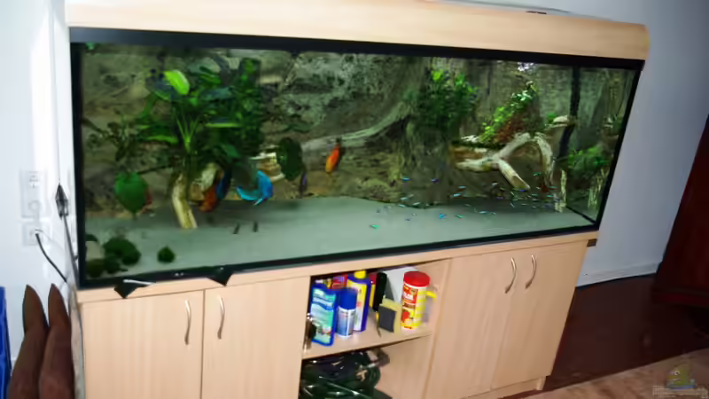 unser Becken mit Blitz