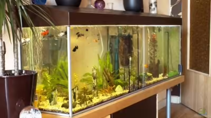 Unser Becken von Ralf Seidel