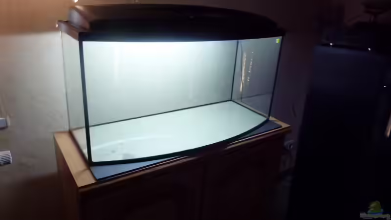 Unser erstes Aquarium von Couro (2)