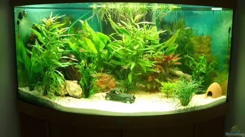 Unser Juwel :-) von KaSa (1)