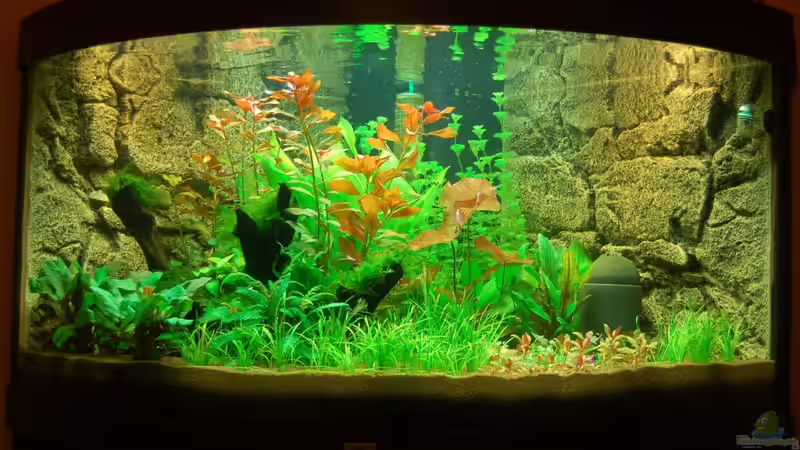 Unser Juwel Trigon 350 am 29.10.2012 von Sven Seibert (31)