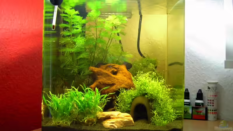 Unser kleiner Nano Cube von bjoern21x (1)