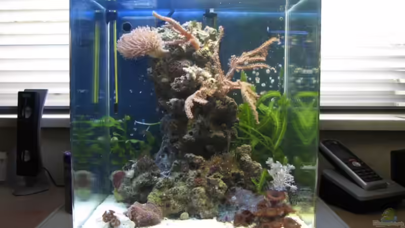 Unser Schreibtisch Nano von Petra Kallmeyer (1)