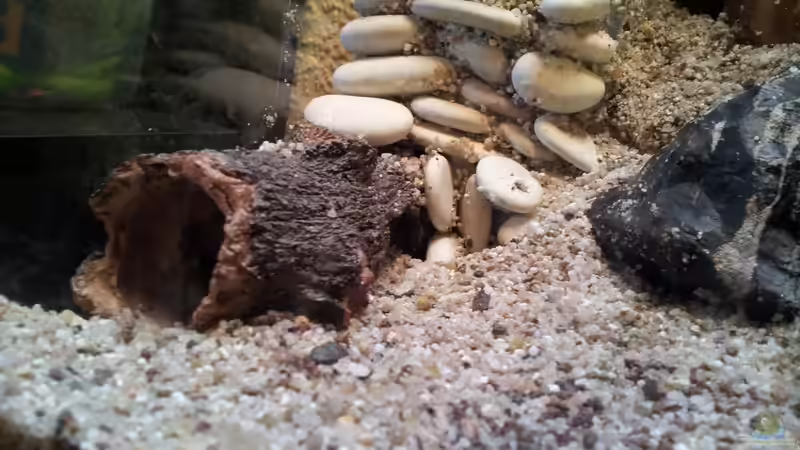 Unser selbst gebaute Filterverkleidung von Kerstin Rünagel (2)