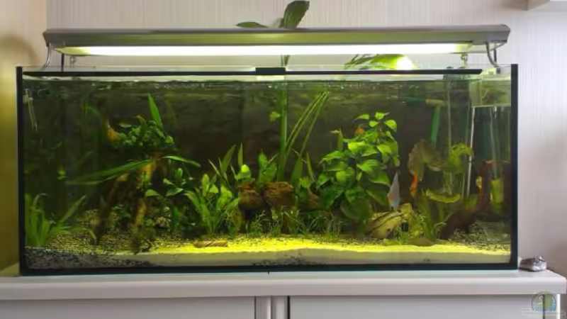 Unser Wohnzimmer AQ von Dorfi34 (1)