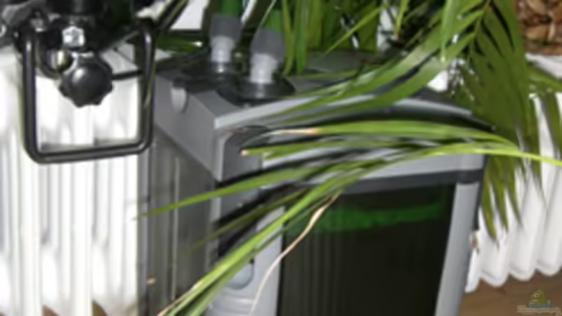 Unsere chinesische Reinigungskraft von Dr. Dr. Kliem (11)