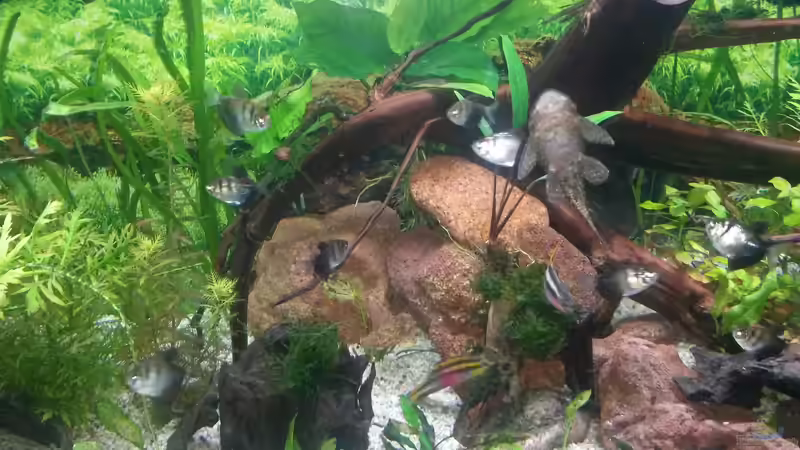 Unsere Crew von Robert&Alex (12)