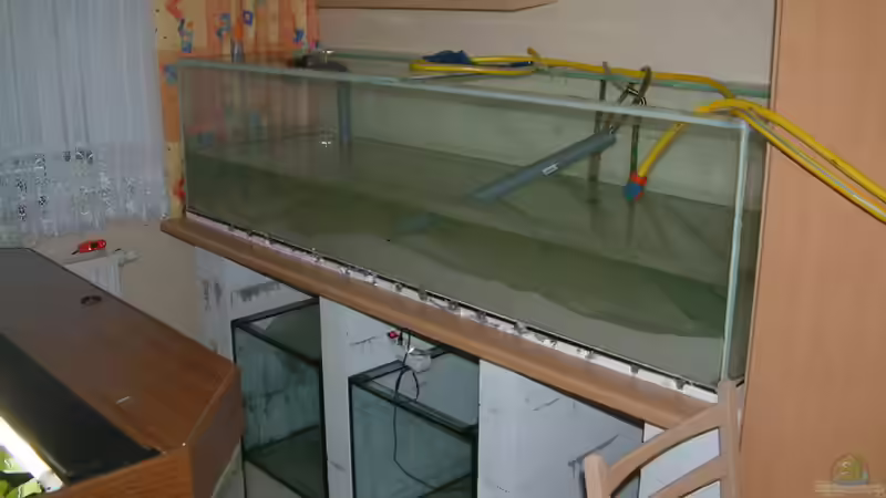 Unten die 2 -- 150 Liter  Filterbecken und das AQ bei der Befüllung von Frank Krüger (13)